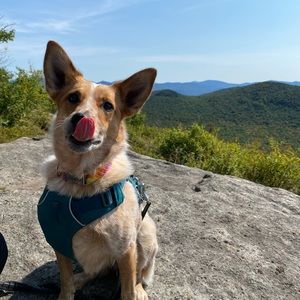 Meet your Posher, Jason